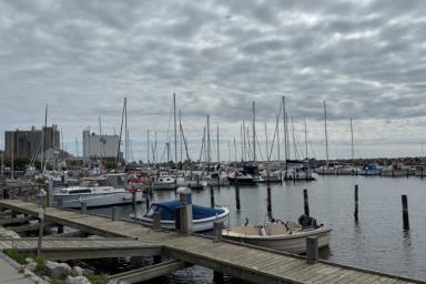 IMG_5438.jpeg IMG_5438.jpeg